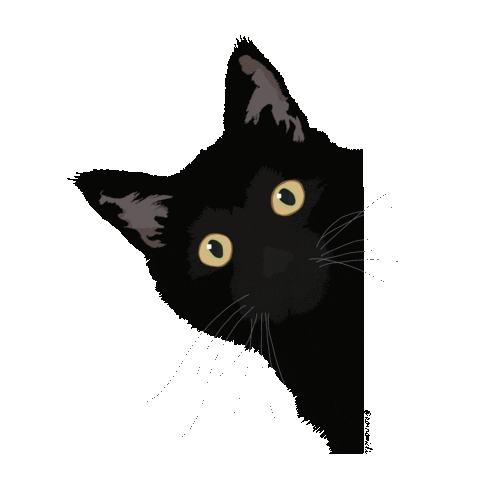 Cat Fashion Sticker