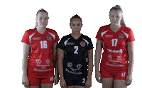 Sport Volleyball Sticker by LP Viesti