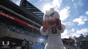U Hands College Football GIF by Miami Hurricanes