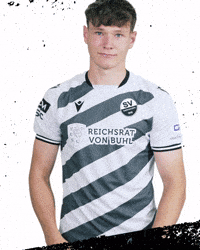 Richard Meier 3Liga GIF by SV Sandhausen