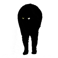 srodan art cat animation animated GIF