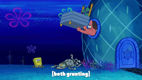 season 9 GIF by SpongeBob SquarePants