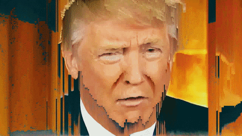 trump GIF by u̶͛͗̽ n̵͇ͨ g̵̼͂ l̵᷅ t̵̄ c̵̃͘ h̵͚ m̵͇͑e͔