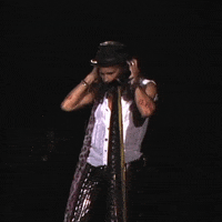 Rock N Roll GIF by Aerosmith