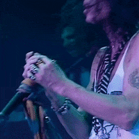 Rock N Roll GIF by Aerosmith
