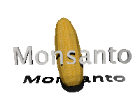 3D Corn Sticker by Scott Gelber