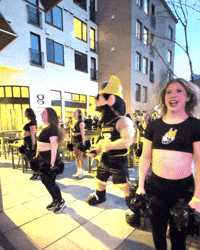 Idaho_Vandals mascot idaho vandals university of idaho GIF