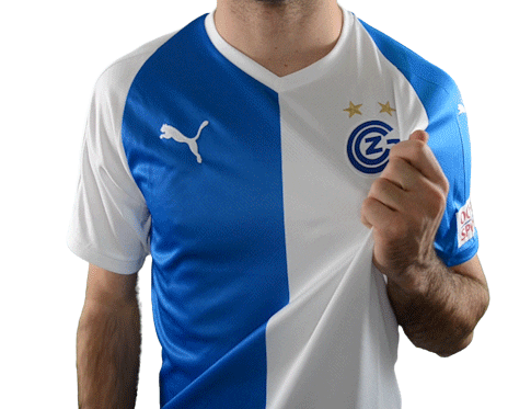 gcz1886 giphyupload club zurich gc Sticker