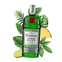 Gintonic Sticker by Tanqueray México