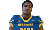 delaware football wink Sticker by Delaware Blue Hens