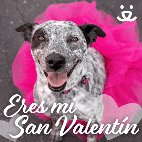 Eres Mi San ValentĂn