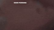 Good Morning Reaction GIF by Lauren Jenkins