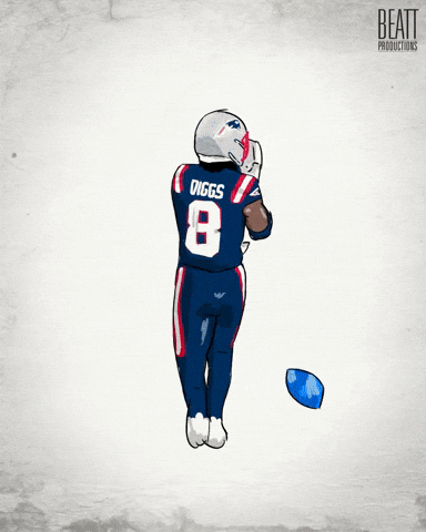 New England Patriots Football GIF
