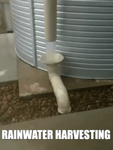 PioneerWaterTanksAmerica giphygifmaker water rain sustainability GIF