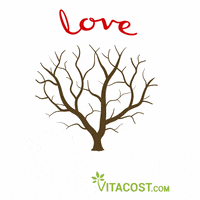 tree love GIF by Vitacost