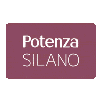 Phs Potenza Sticker by PHSGroup