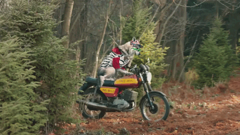 old spice GIF by ADWEEK