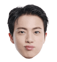 Bts Jin Sticker