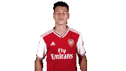 Celebrate Premier League Sticker by Arsenal