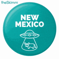 register to vote 2016 election GIF by theSkimm