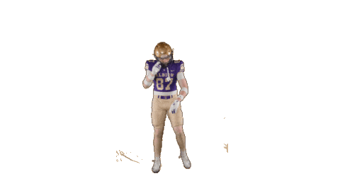 Ppp D3 Sticker by Albion College