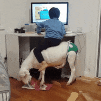 GIF by Random Goat