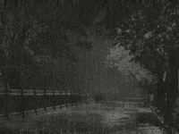 dark melancholia GIF