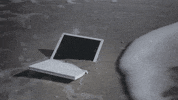 anerkjendt  GIF