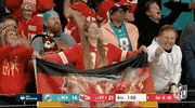National Football League GIF by NFL