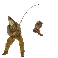 campfimfo fish camping fishing reel Sticker