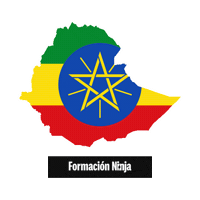 Ethiopia Flag Sticker by Formación Ninja
