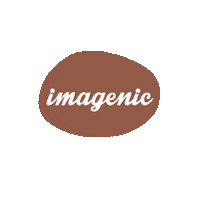 Wedding Photography Sticker by Imagenic