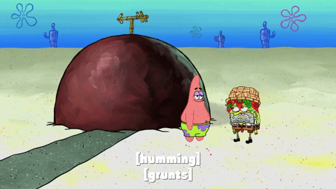 season 9 GIF by SpongeBob SquarePants