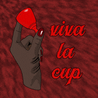 Periods Bleeding GIF by Put A Cup In It