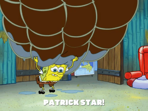 season 8 GIF by SpongeBob SquarePants