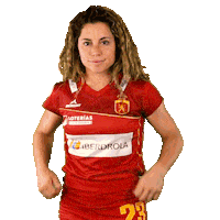 RFEH iberdrola rfeh hockey españa redsticks Sticker