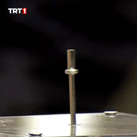 Electric Shock Love GIF by TRT