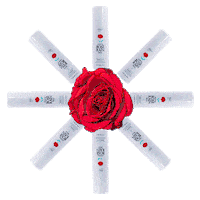 Rose Rain Sticker by Atomy