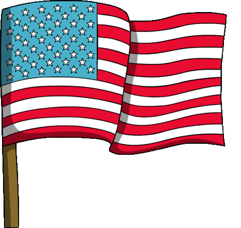 American Flag Usa Sticker by Dew Tour