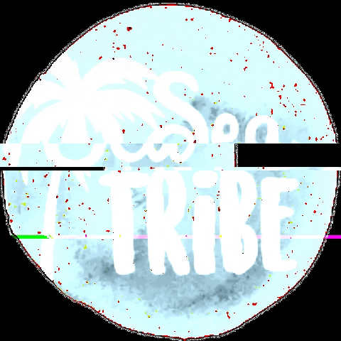 seatribee giphygifmaker seatribe GIF