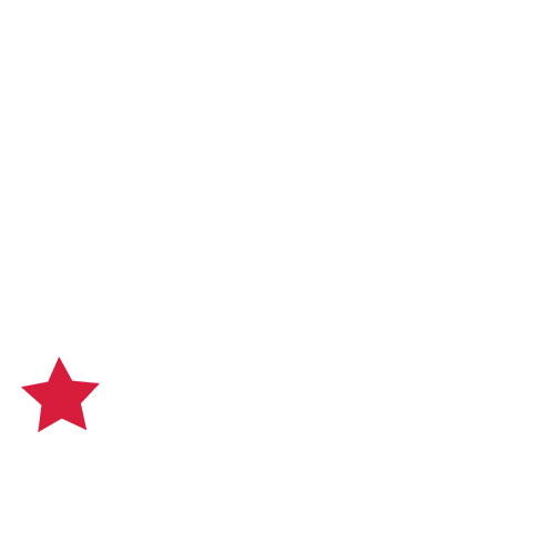 Horse America Sticker by desing casc