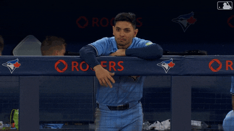 Blue Jays Baseball GIF by Toronto Blue Jays