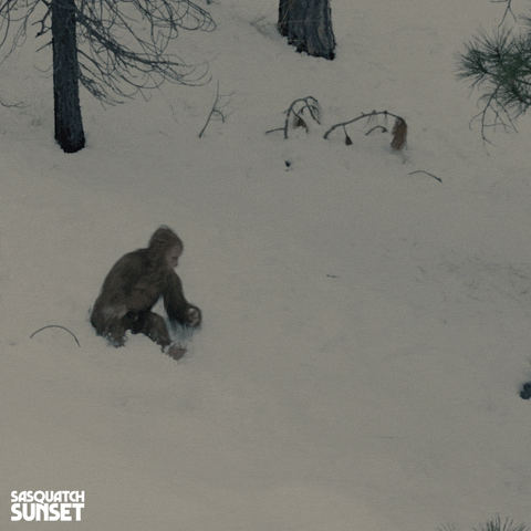 Jesse Eisenberg Bigfoot GIF by Bleecker Street