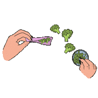 Weed Cannabis Sticker