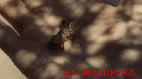 Save Noah Jupe GIF by Magnolia Pictures