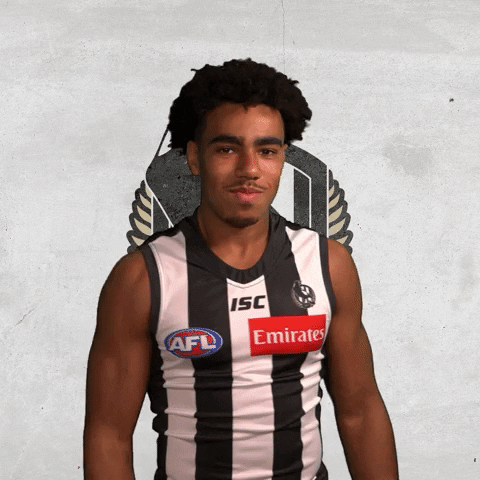 pies magpies GIF by CollingwoodFC