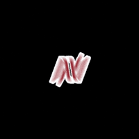 GIF by RH NOSSA