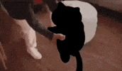 Me When I Get You GIF