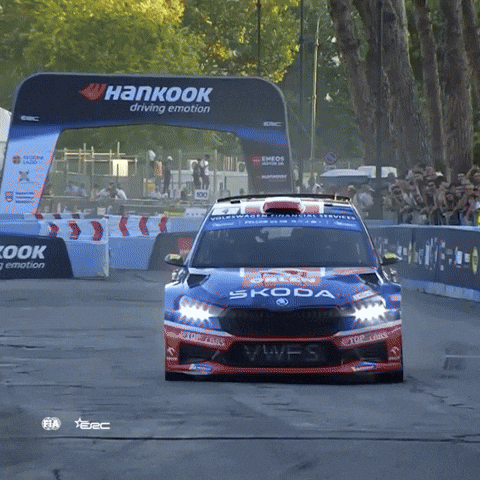 Erc GIF by FIA European Rally Championship