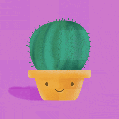 StudioSigrid giphyupload happy kawaii cactus GIF